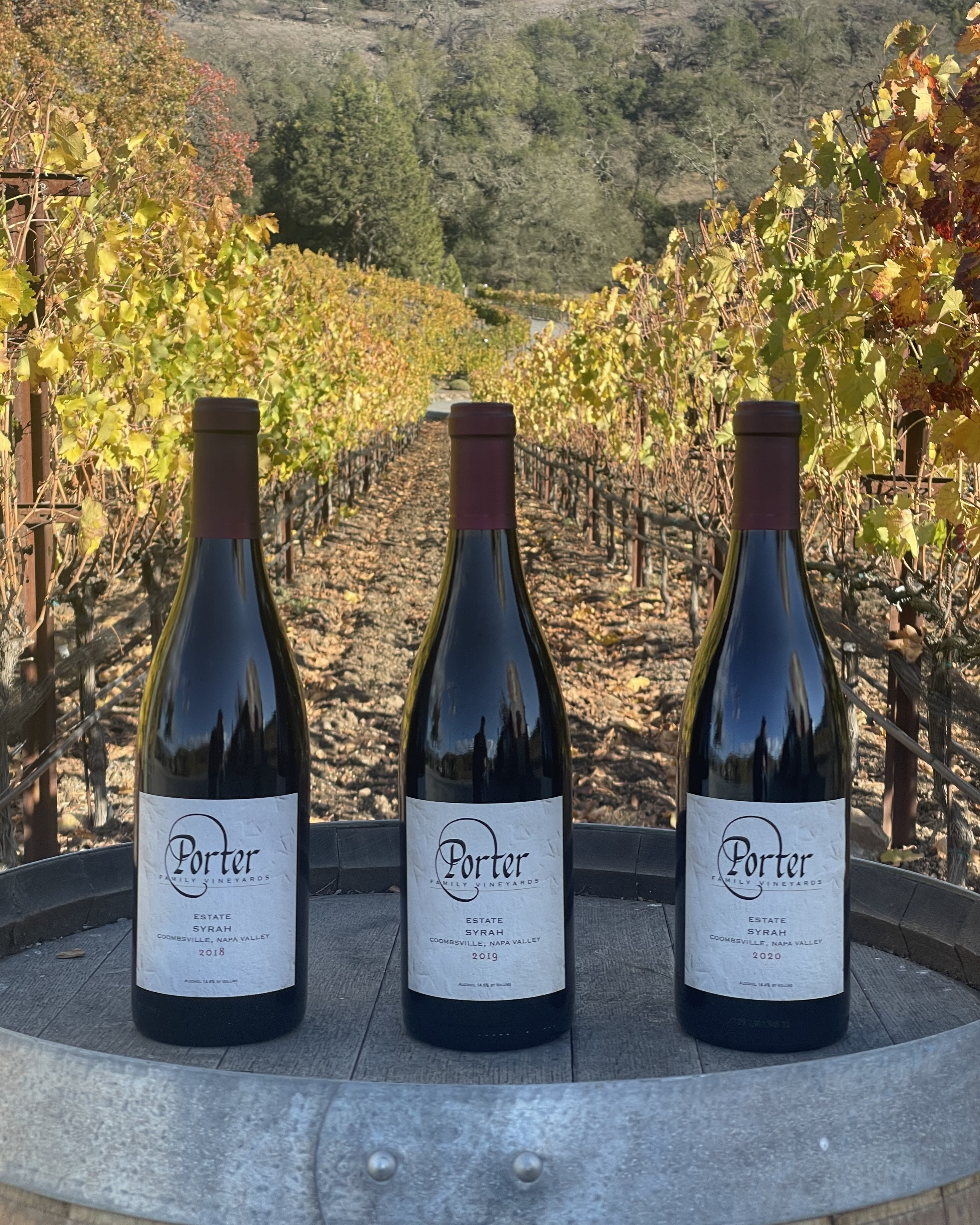 Product Image for Holiday Syrah Vertical