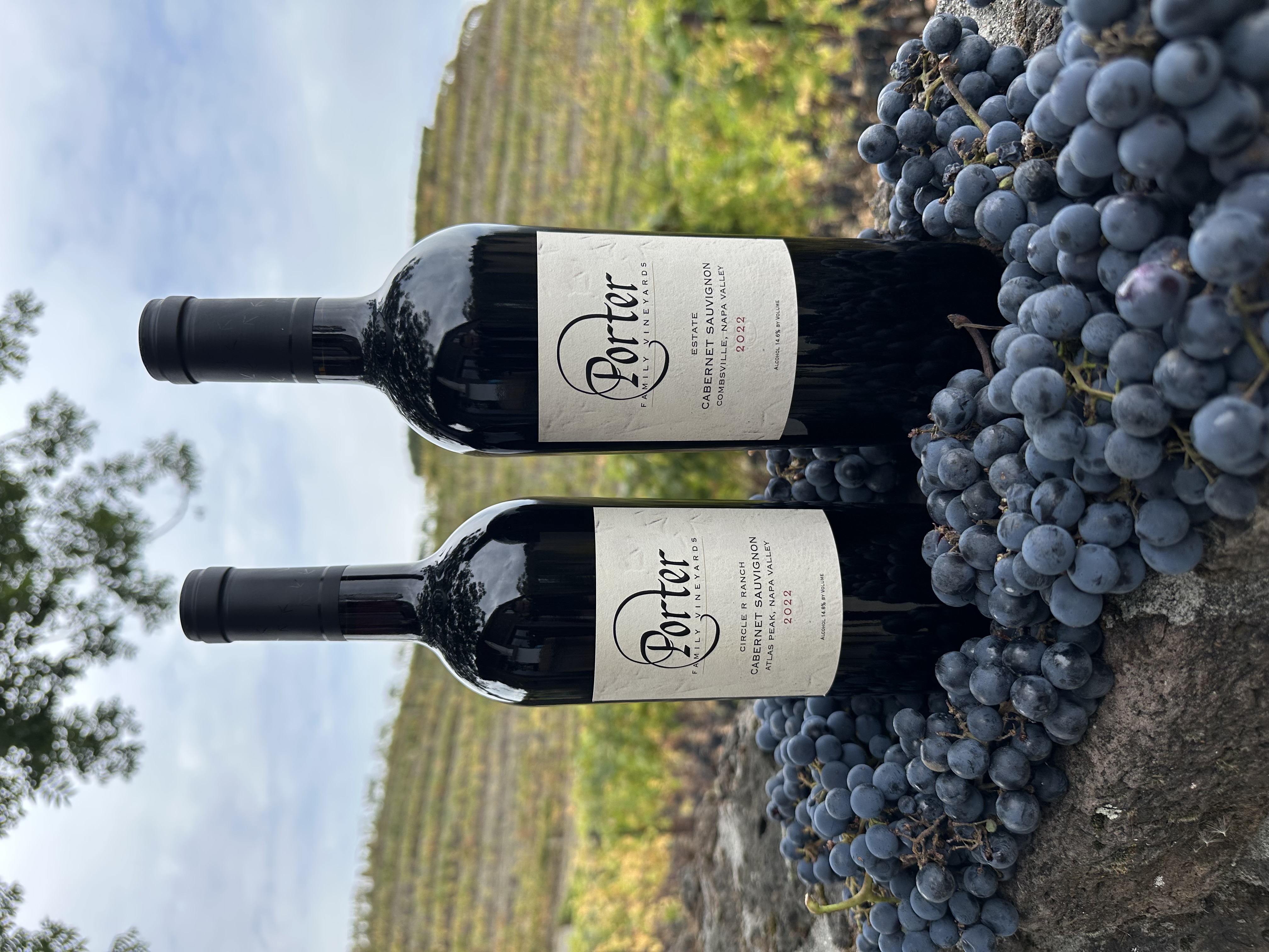 Product Image for Cabernet Sauvignon Duo