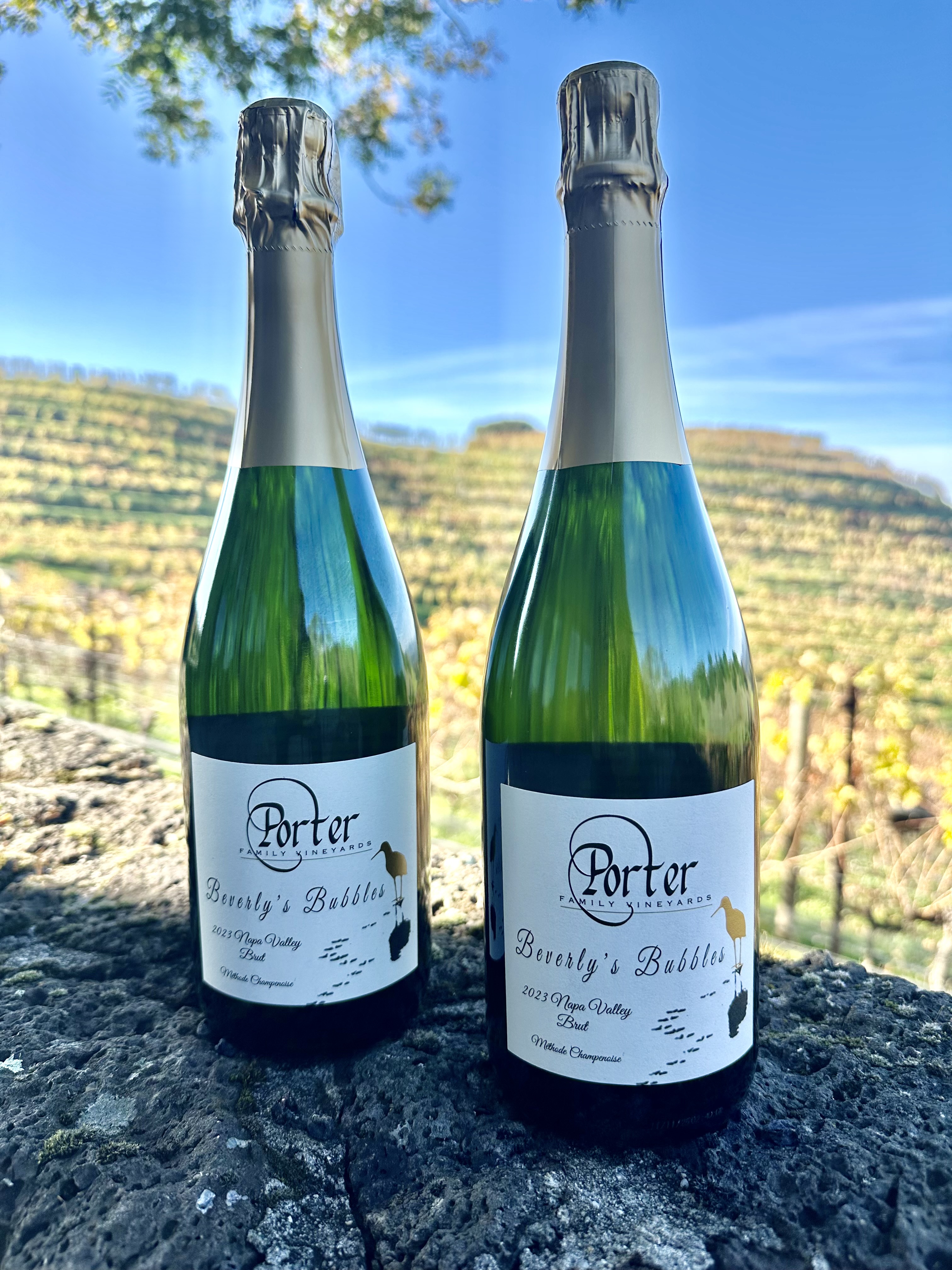 Product Image for Sparkling Celebration