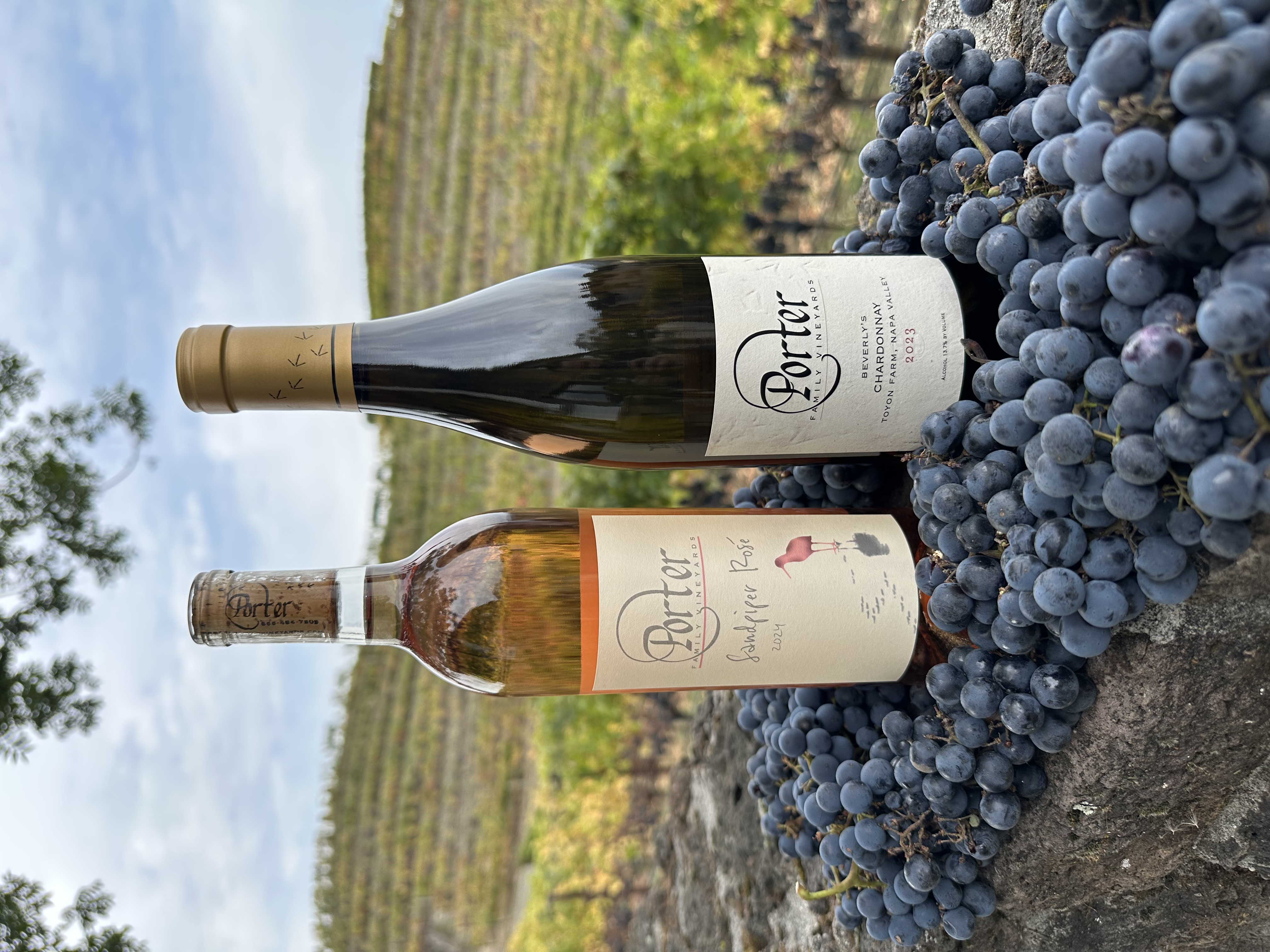 Product Image for The Bright Side